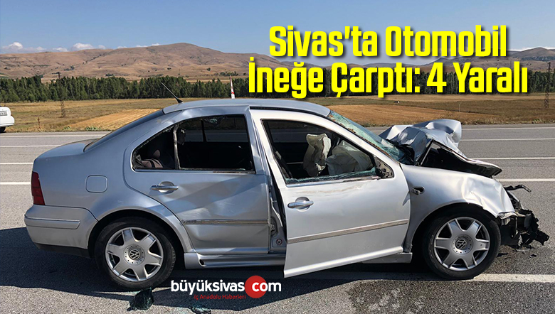 ineğe Çarpması