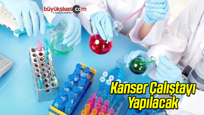 Kanser Çalıştayı Yapılacak