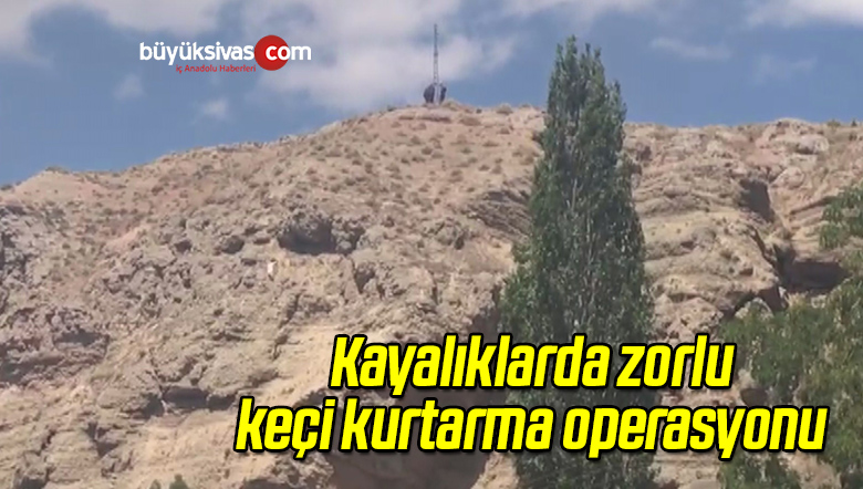 Keçiler