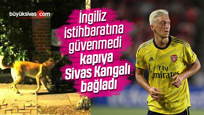 Mesut Özil Kangal Köpeklere Güveniyor