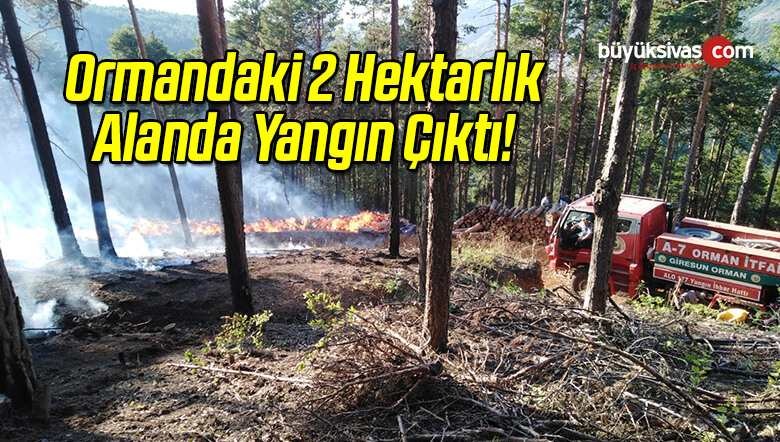 Ormandaki 2 Hektarlık Alanda Yangın Çıktı!