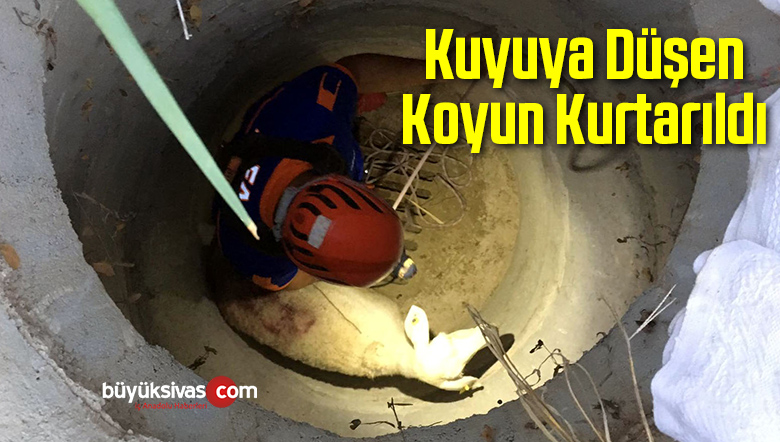 Aksaray’da Kuyuya Düşen Koyun Kurtarıldı