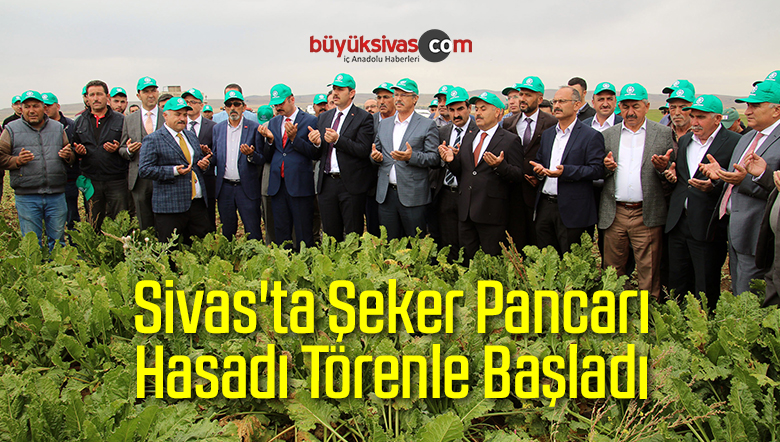 Sivas’ta Şeker Pancarı Hasadı Törenle Başladı