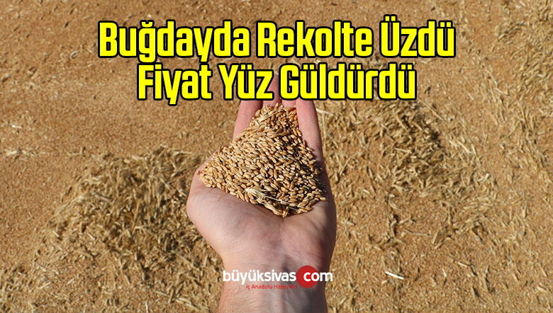 Yüzünü Güldürdü