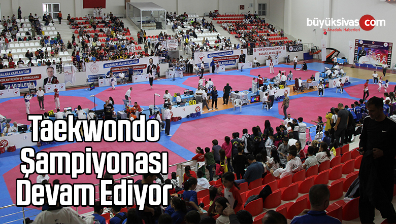 Taekwondo Şampiyonası