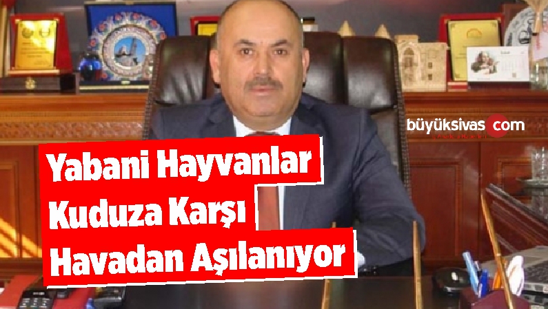 Yabani Hayvanlar Kuduza Karşı Havadan Aşılanıyor