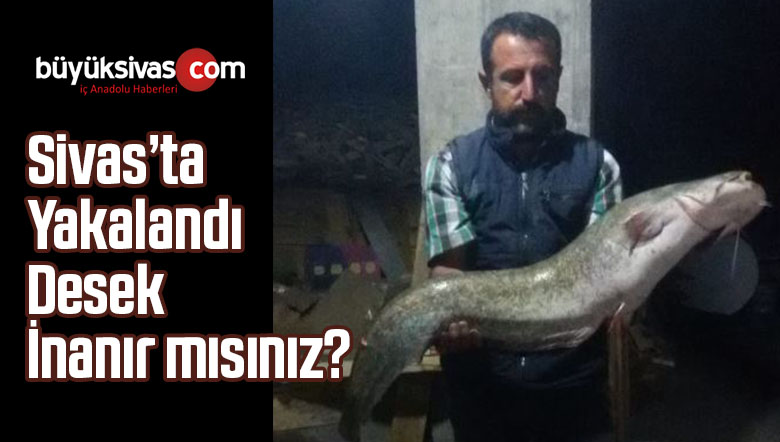 Sivas’ta Adam Boyunda Balık Oltaya Takıldı! Hay Maşallah