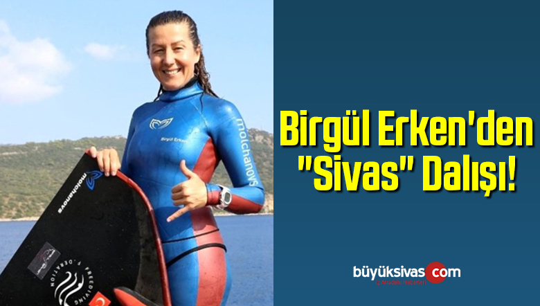 Birgül Erken