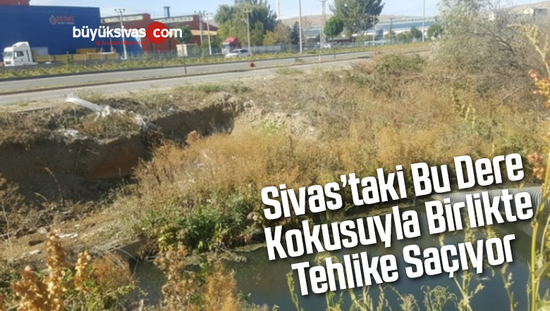 Dere Kötü Kokusuyla Birlikte Tehlike Saçıyor