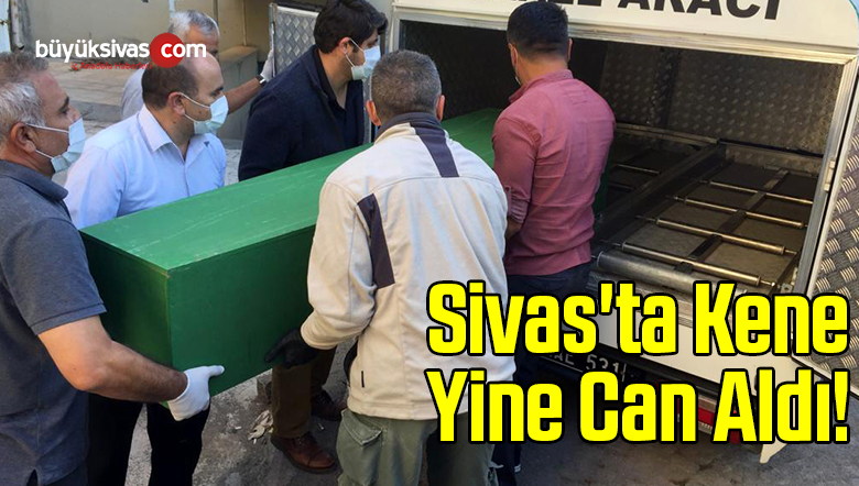 Sivas’ta Kene Yine Can Aldı!
