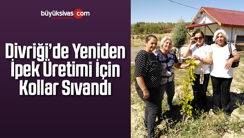 Divriği’de Yeniden İpek Üretimi İçin Kollar Sıvandı