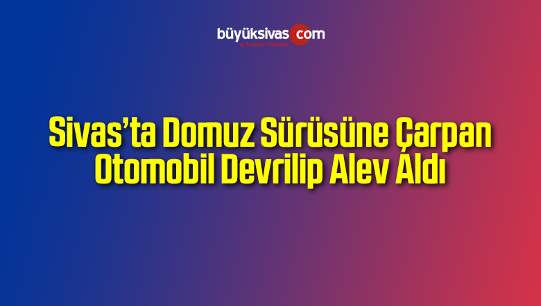 Domuz Sürüsüne Çarpan Otomobil Devrilip Alev Aldı