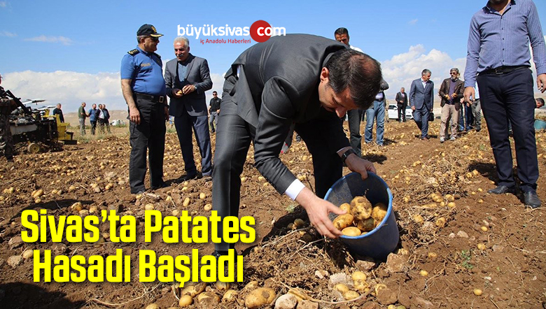 Patates Hasadı Tarla Günü