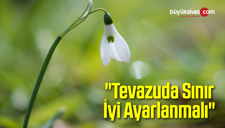 Tevazuda Sınır