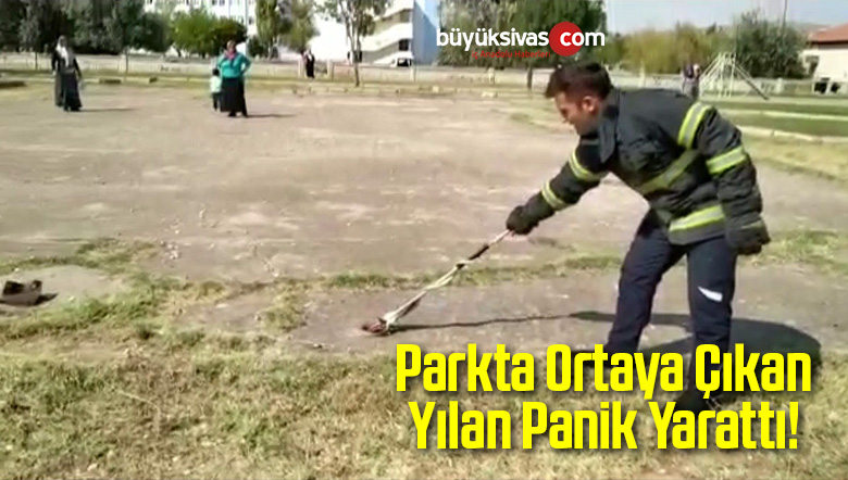Çocuk Parkında Ortaya Çıkan Yılan Panik Yarattı!