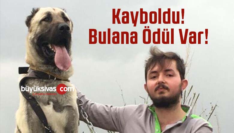 ödül