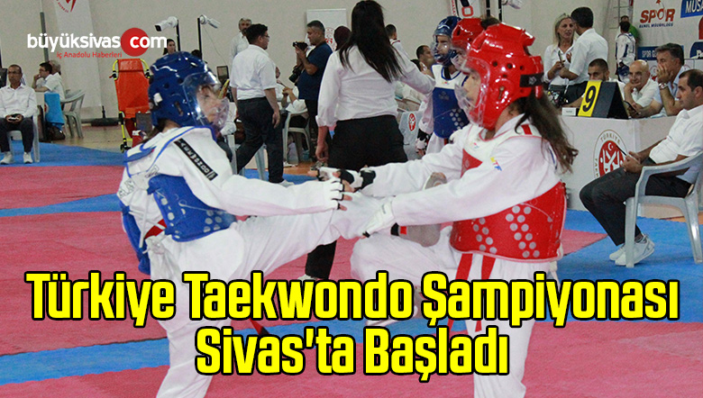 Türkiye Taekwondo Şampiyonası