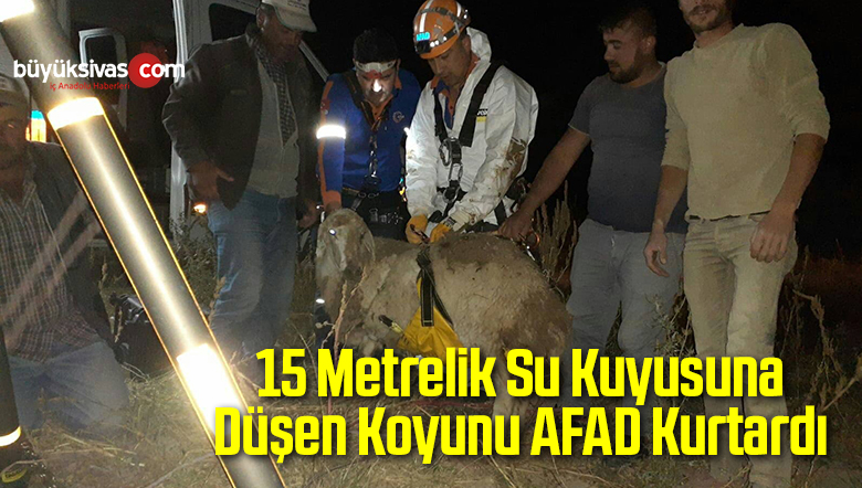 15 Metrelik Su Kuyusuna Düşen Koyunu AFAD Kurtardı