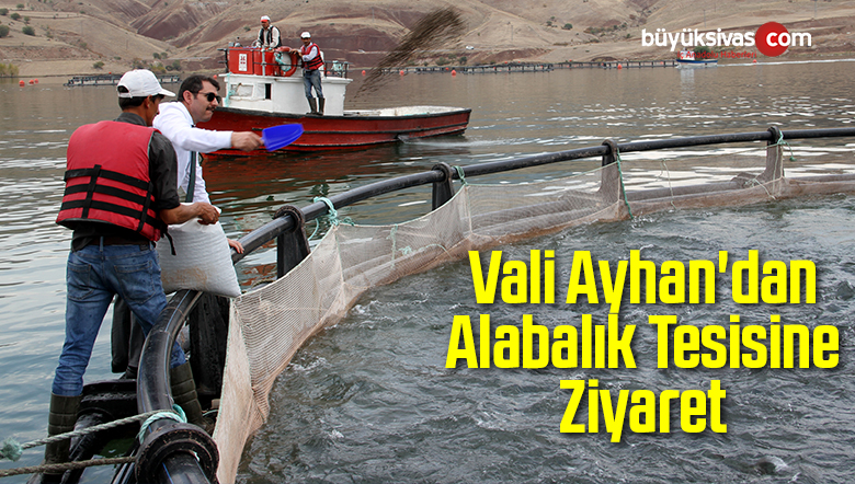 Alabalık ve Somon Üretimi