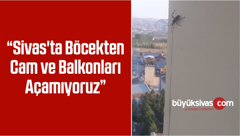 Balkonları Açamıyoruz