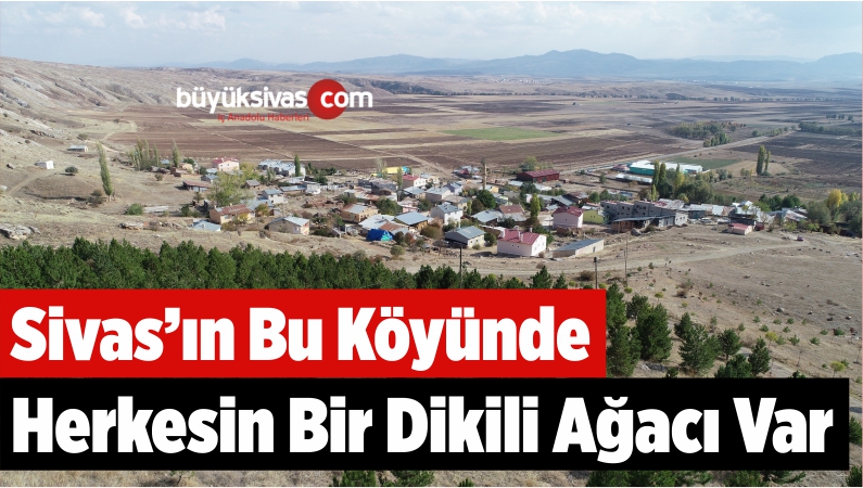 Bu Köyde Herkesin Bir Dikili Ağacı Var