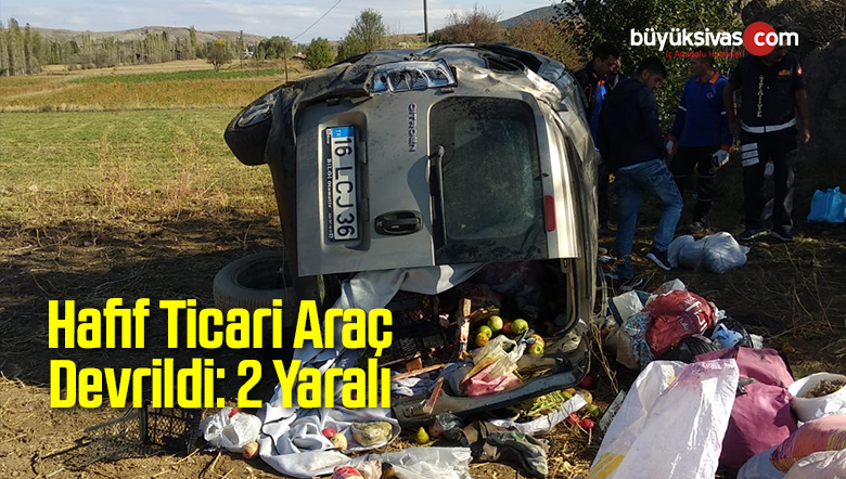 Hafif Ticari Araç Devrildi: 2 Yaralı
