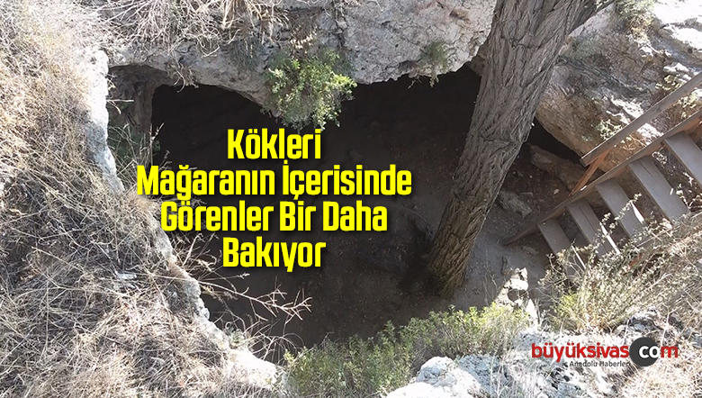 Kökleri Mağaranın İçerisinde Görenler Bir Daha Bakıyor