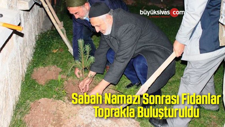Ağaç Fidanı Dikti