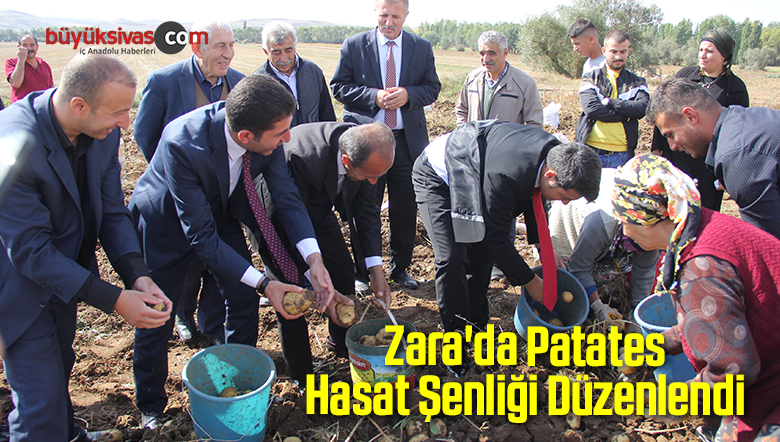 Zara’da Patates Hasat Şenliği Düzenlendi