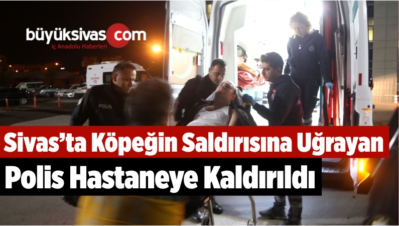 Sivas’ta Köpeğin Saldırısına Uğrayan Polis Yaralandı