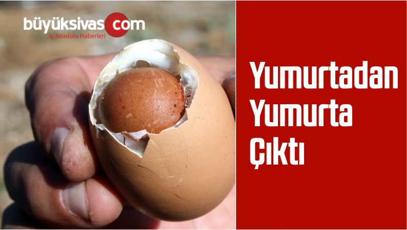 Yumurtadan Yumurta Çıktı
