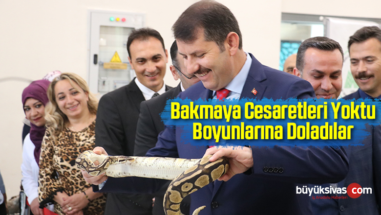 Bakmaya Cesaretleri Yoktu Boyunlarına Doladılar