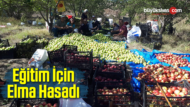 Eğitim İçin Elma Hasadı