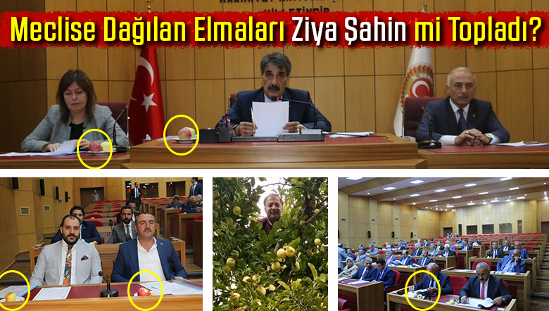 Meclise Dağıtılan Elmaları Ziya Şahin mi Yoksa Gürün Meclis Üyesi mi Dağıttı?