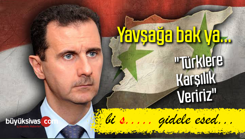 Barış Pınarı Harekatı’na ilişkin Esad : “Türklere Karşılık Veririz”