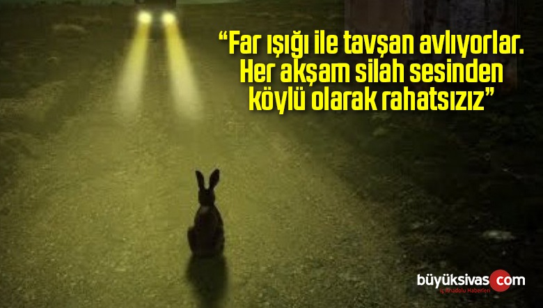 Sivas’ta Far Işığıyla Tavşan Avlanmasına İlişkin Tepki!