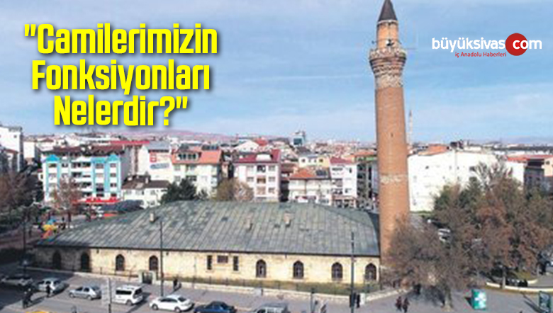 Fonksiyonları