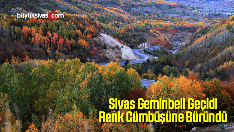 Renk Cümbüşü