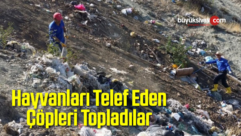 Telef Olmasına