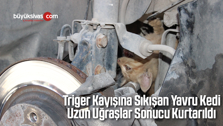 Triger Kayışına Sıkışan Yavru Kedi Uzun Uğraşlar Sonucu Kurtarıldı