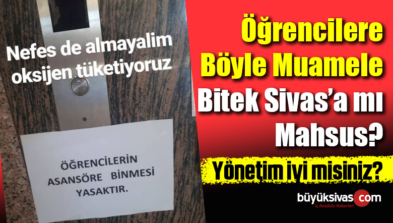 yönetim