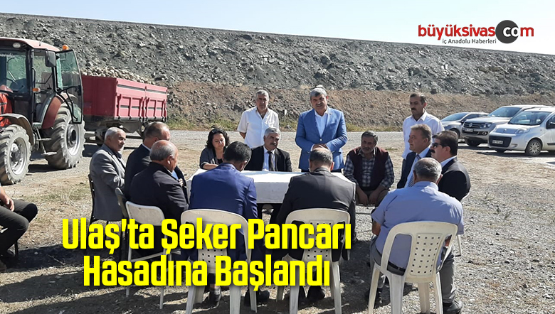 Şeker Pancarı Hasadı