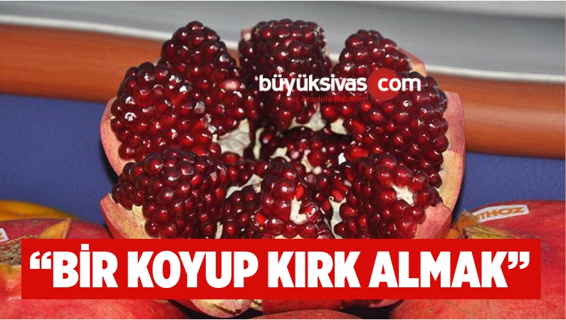 “BİR KOYUP KIRK ALMAK”