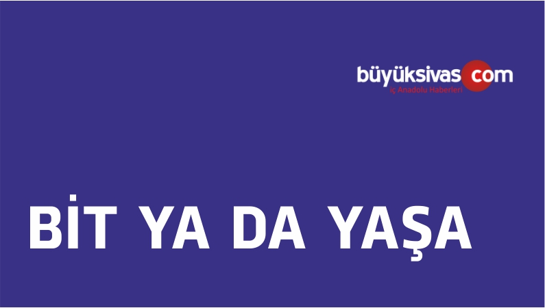 BİT YA DA YAŞA
