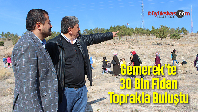 Gemerek’te 30 Bin Fidan Toprakla Buluştu