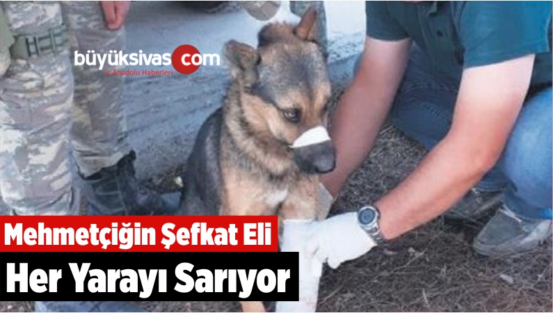 Mehmetçiğin Şefkat Eli Her Yarayı Sarıyor