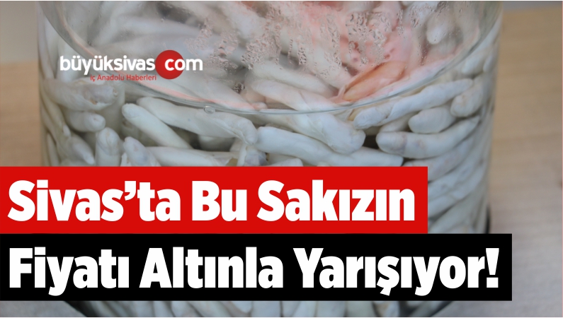 Bu Sakız Bir Ay Çiğnenebiliyor