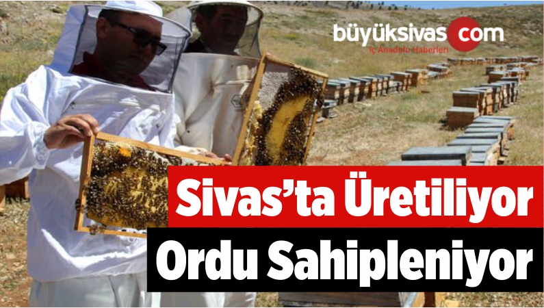 Sivas'ta Üretiliyor Ordu Sahipleniyor