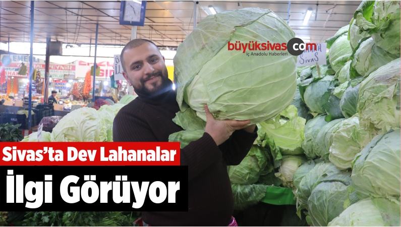 Sivas’ta Dev Lahanalar