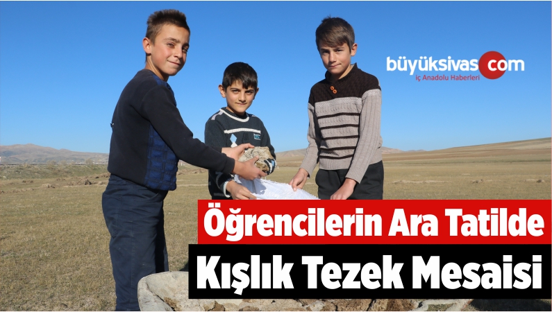 Öğrencilerin Ara Tatilde Kışlık Tezek Mesaisi